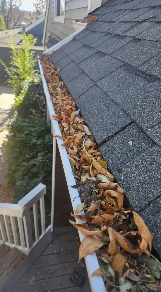 a gutter filled with leaves
